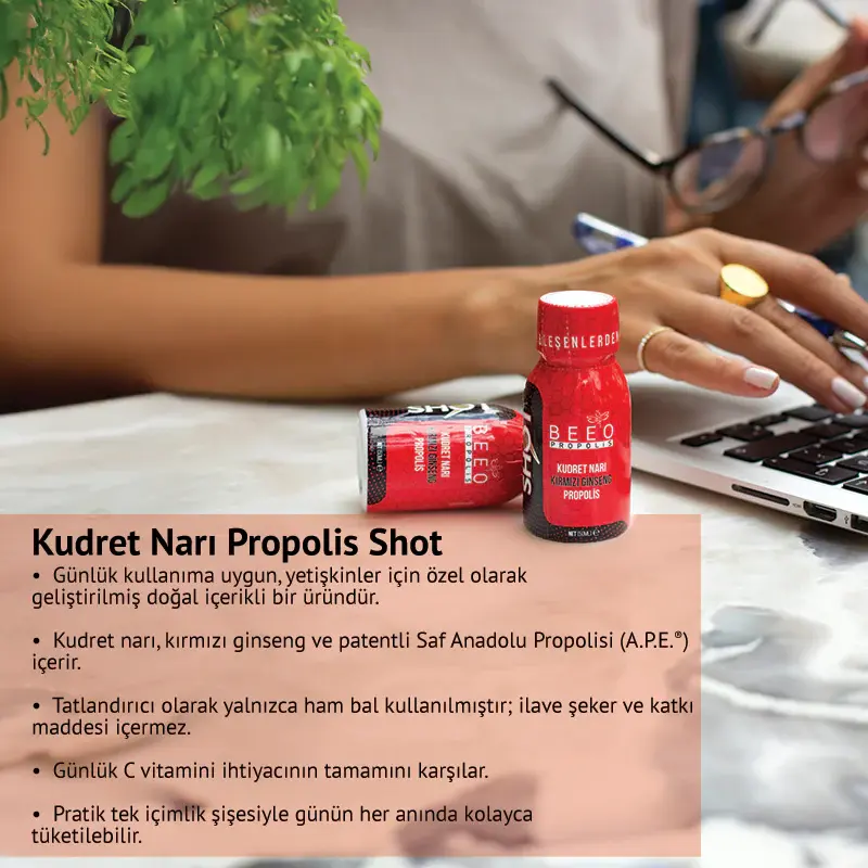 BEEO Kudret Narı Ginseng Propolis Shot 12`li 4.webp
