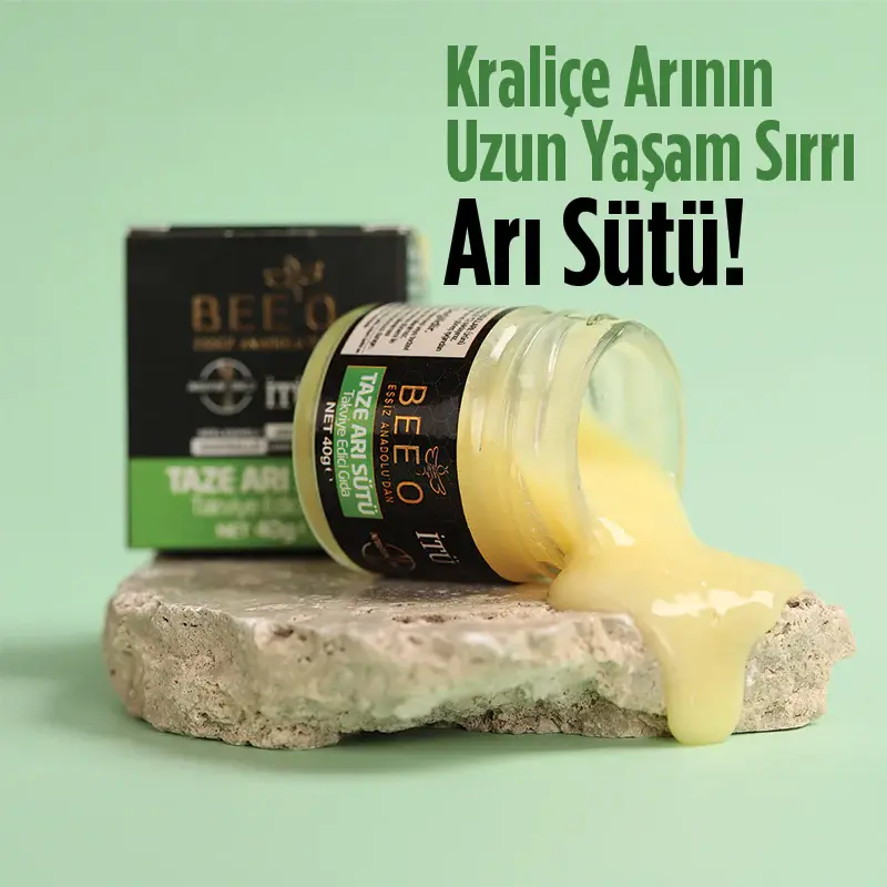 BEEO Taze Arı Sütü 4.webp