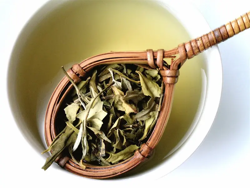 WHITE TEA - BEYAZ ÇAY 3.webp