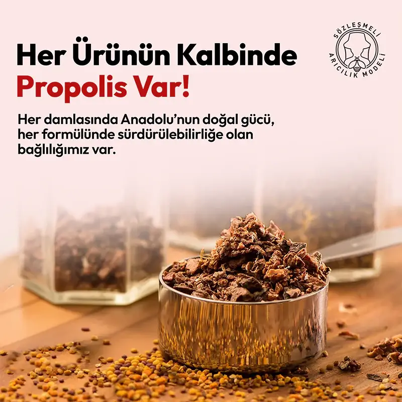 BEEO Kudret Narı Ginseng Propolis Shot 12`li 7.webp