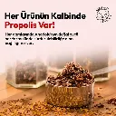 BEEO Kudret Narı Ginseng Propolis Shot 12`li 7.webp